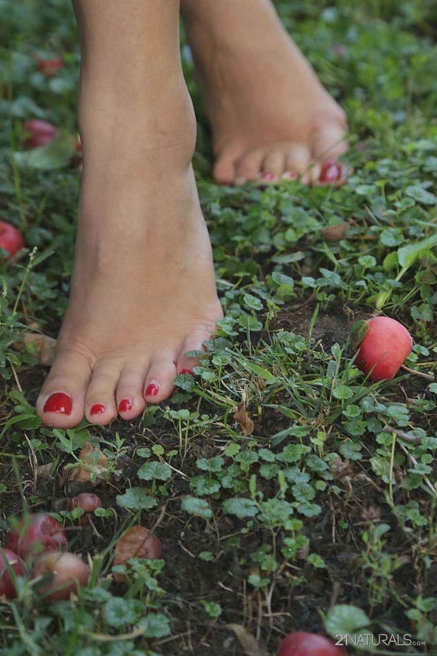 Elegant chick Kira Queen having amazing time picking fruits outdoors in nature 色情照片 #428220324 | 21 Foot Art Pics, Kira Queen, Feet, 手机色情