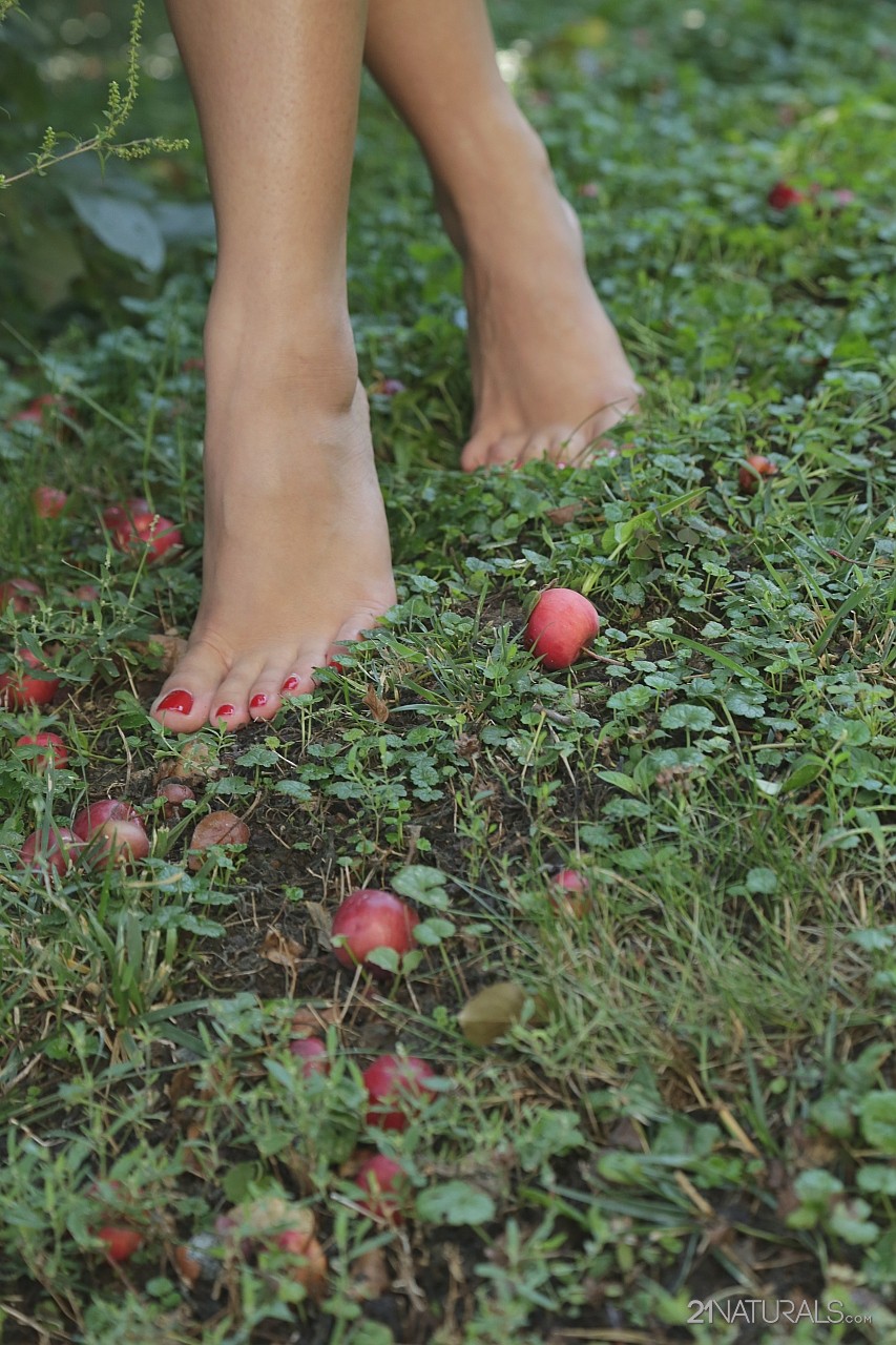 Elegant chick Kira Queen having amazing time picking fruits outdoors in nature 色情照片 #428220325 | 21 Foot Art Pics, Kira Queen, Feet, 手机色情