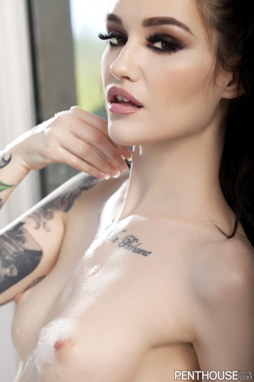 Hot centerfold in sheer lingerie Ari Dee exposes her natural tits & tasty muff porno fotoğrafı #424614790