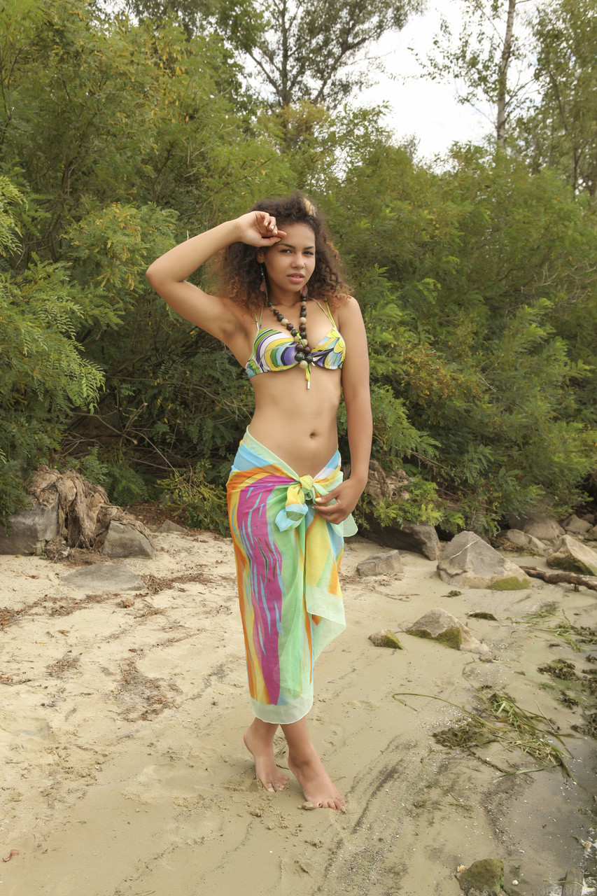 Exotic babe Sara Nicole strips on the beach & flaunts her juicy tits & big ass 色情照片 #423788994 | Met Art Pics, Sara Nicole, Beach, 手机色情