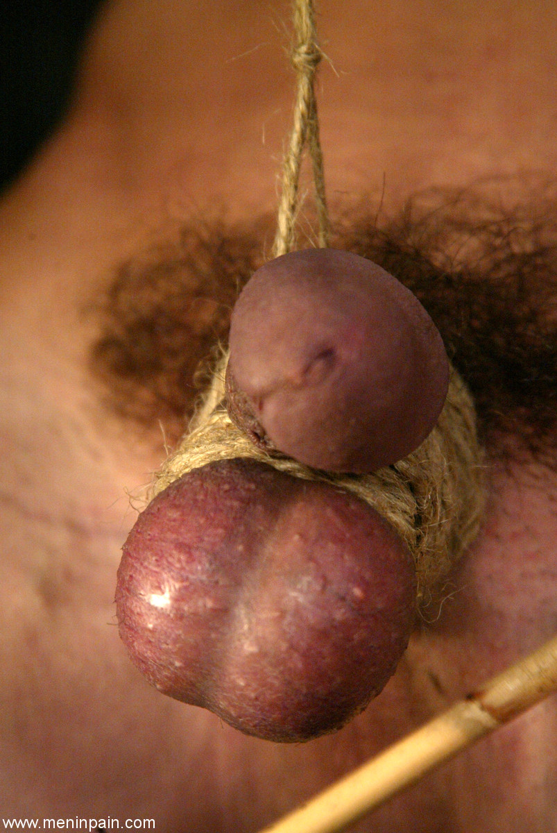 Men In Pain Flower Tucci, Stevo foto porno #425695466