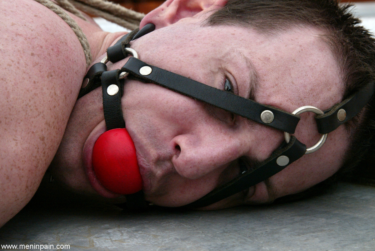 Sexy dominatrix Isis Love fucks her bound ball gagged slave with a strapon porn photo #425308275