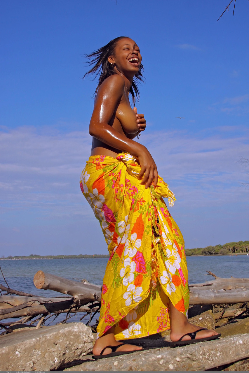 Big-breasted ebony teen Tierra flaunting her oiled naked body outdoors foto pornográfica #423583681 | Domai Pics, Tierra, African, pornografia móvel