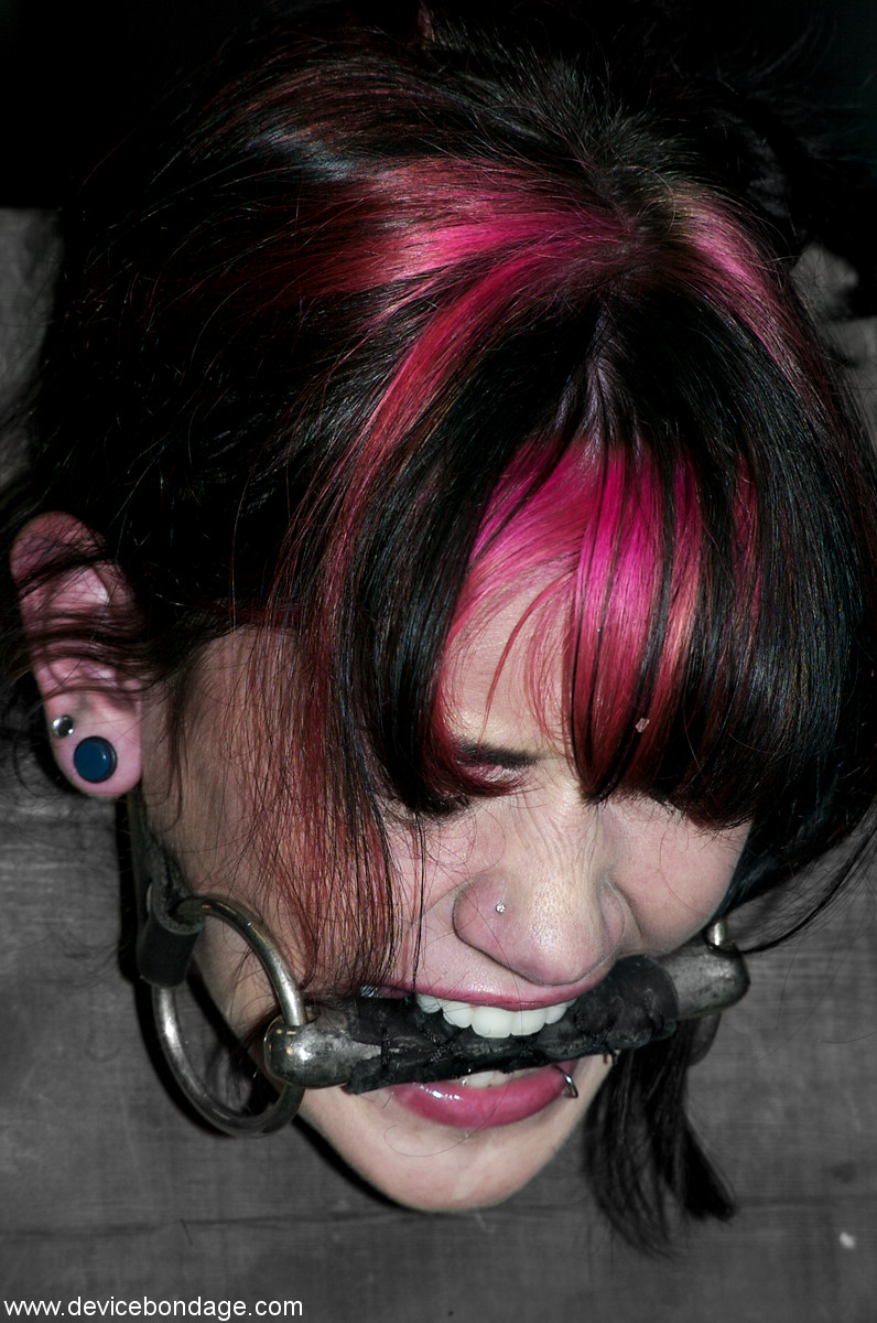 Skinny babe Kayden Faye gets tortured on an abuse machine in a basement 포르노 사진 #425743399 | Device Bondage Pics, Bobbi Starr, Kayden Faye, Sarah Jane Ceylon, MILF, 모바일 포르노