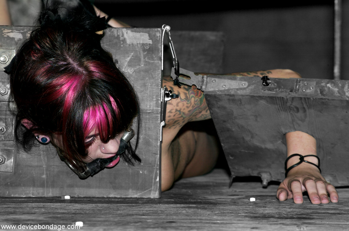 Skinny babe Kayden Faye gets tortured on an abuse machine in a basement Porno-Foto #425743403 | Device Bondage Pics, Bobbi Starr, Kayden Faye, Sarah Jane Ceylon, MILF, Mobiler Porno