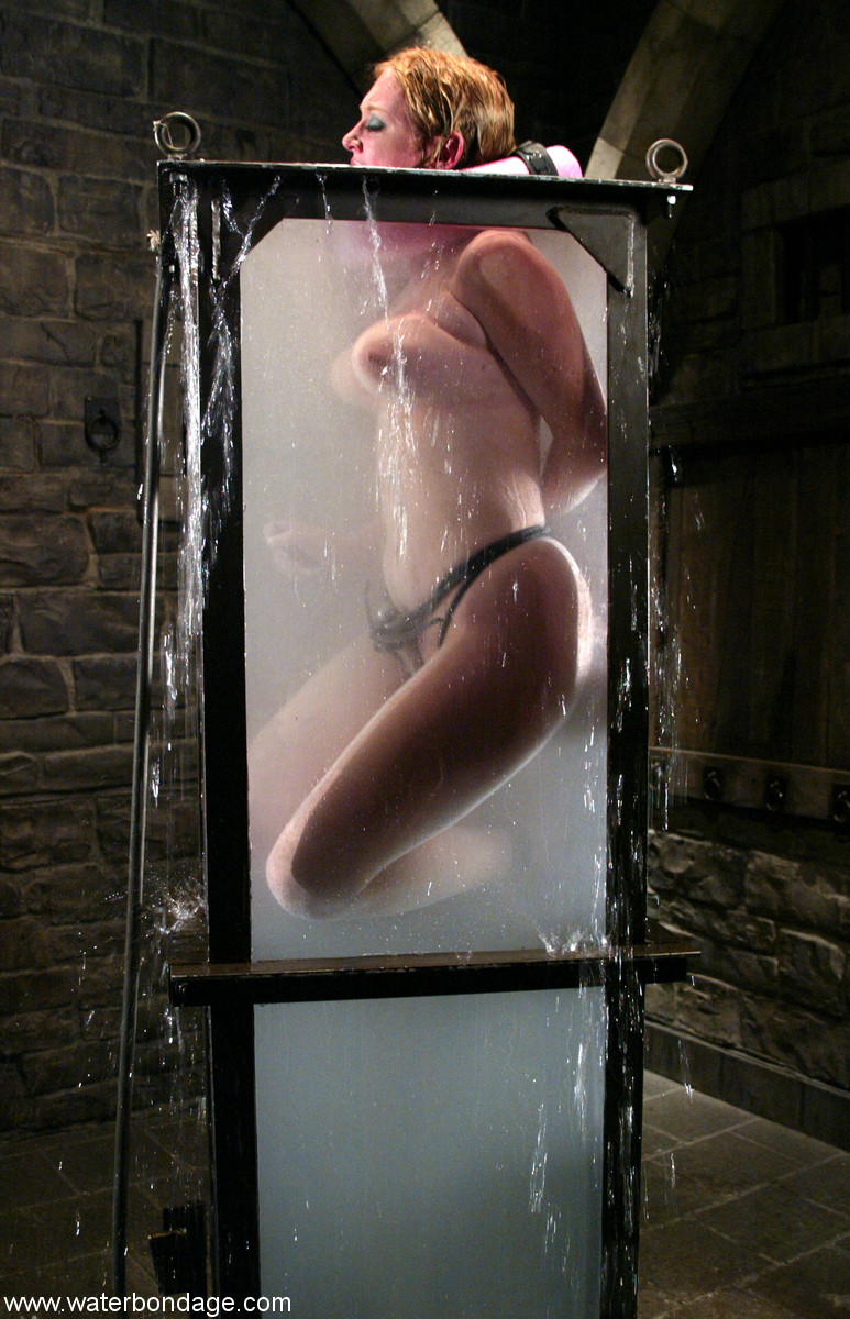 Water Bondage Dee Williams порно фото #428290612