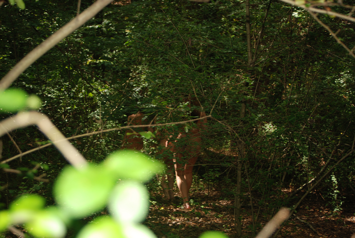 A group of interracial individuals are engaging in sexual activities with their iraspid swinger wives.