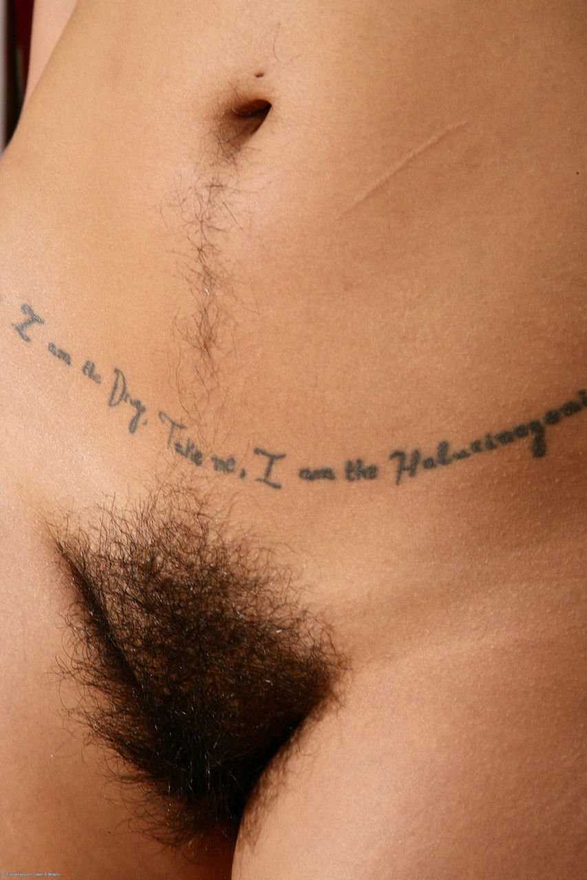 Dark-haired Latina Rhys Adams unveils her big tits and hairy holes porno fotky #423910898 | ATK Exotics Pics, Rhys Adams, Indian, mobilní porno