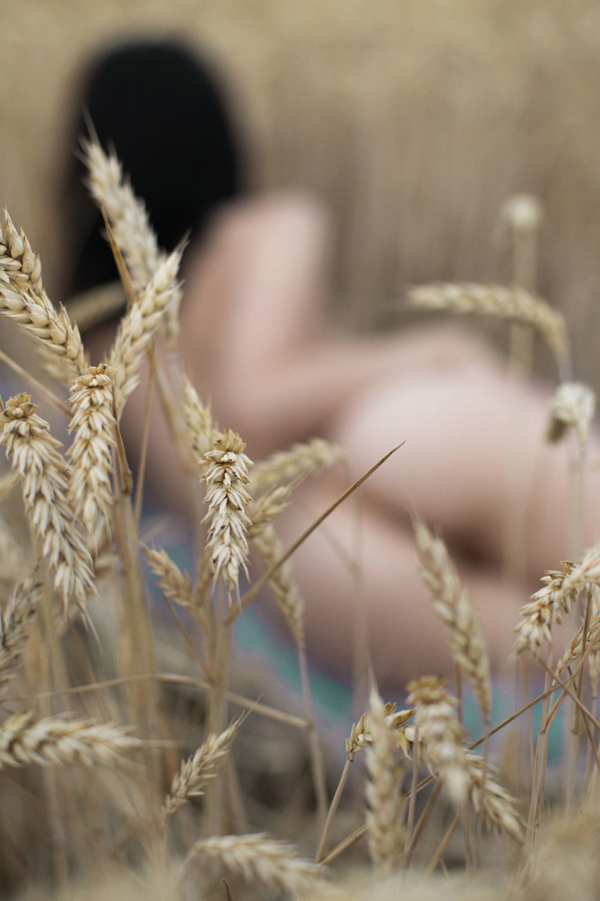 Breathtaking amateur babe Lyalya massages her big tits in a wheat field foto porno #422453513