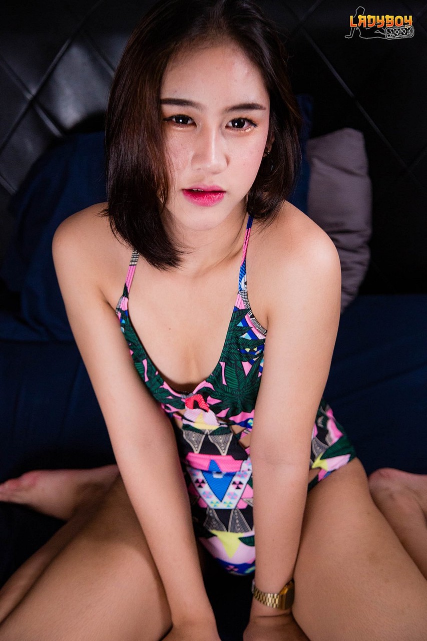 Asian TGirl Any порно фото #426220017