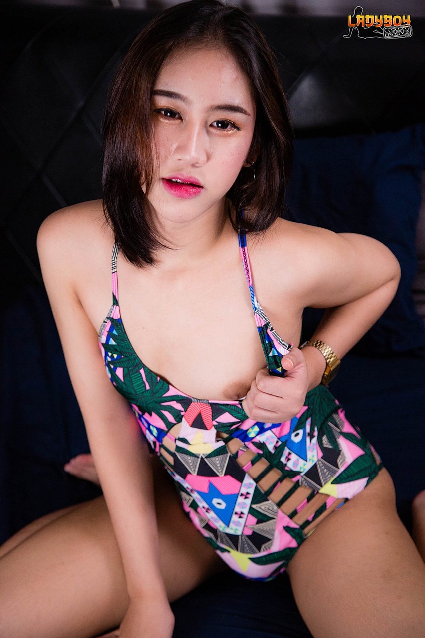 Asian TGirl Any порно фото #426220019