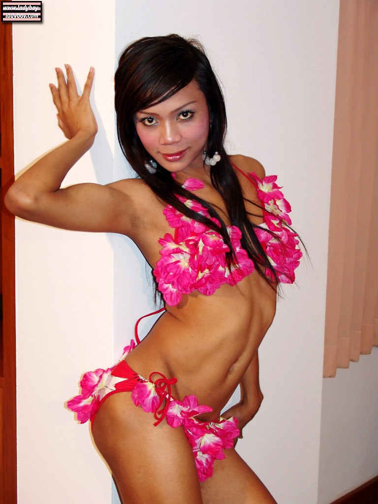 Asian TGirl Nam Porno-Foto #425130813