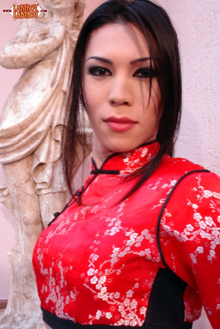 Asian TGirl Adriana Suzuki Porno-Foto #428540287