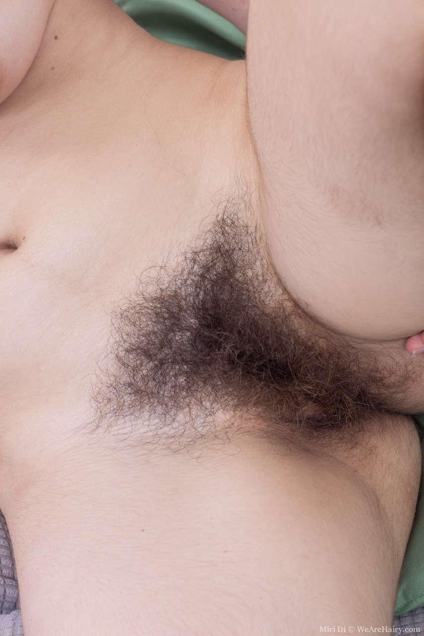 We Are Hairy Miri Di, 포르노 사진 #423881587 | We Are Hairy Pics, Miri Di, Hairy, 모바일 포르노