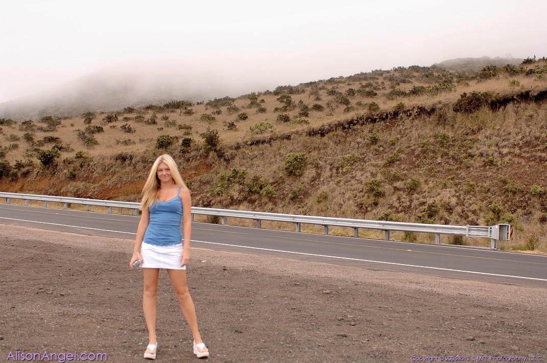 Playful blonde babe Alison flashing her big boobs & an upskirt by the road porn photo #423794974