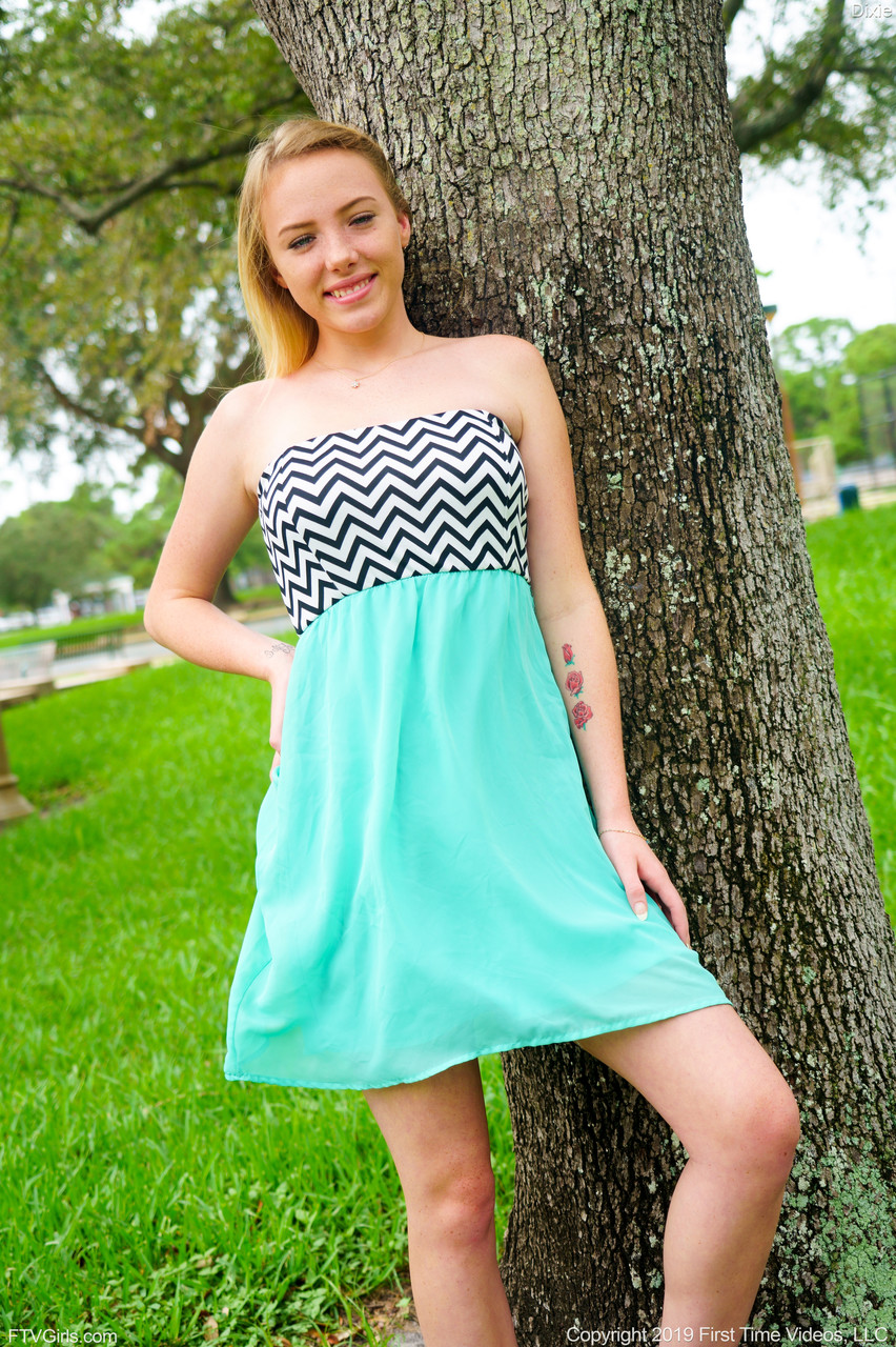 Sweet teen Dixie hikes her dress and reveals her small vagina in the park foto porno #428068597