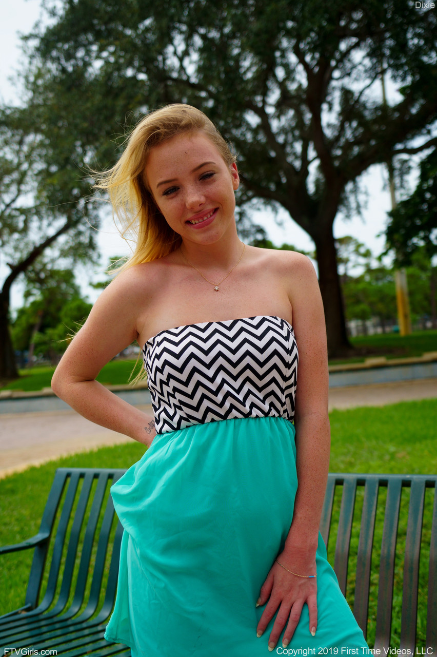 Sweet teen Dixie hikes her dress and reveals her small vagina in the park foto porno #428013719