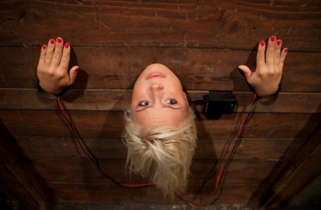 A pair of lesbians dominate a thick blonde during bondage.