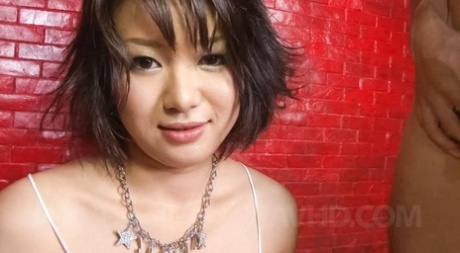 While performing oral sex on the vagina, Haruka Uchiyama Asian touches her own vagina with one of her jugs and uses it to lick her cock.