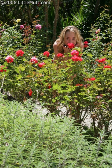 For the first time since her nude modelling debut, young blonde Krista is seen holding her hands while doing a handstand.