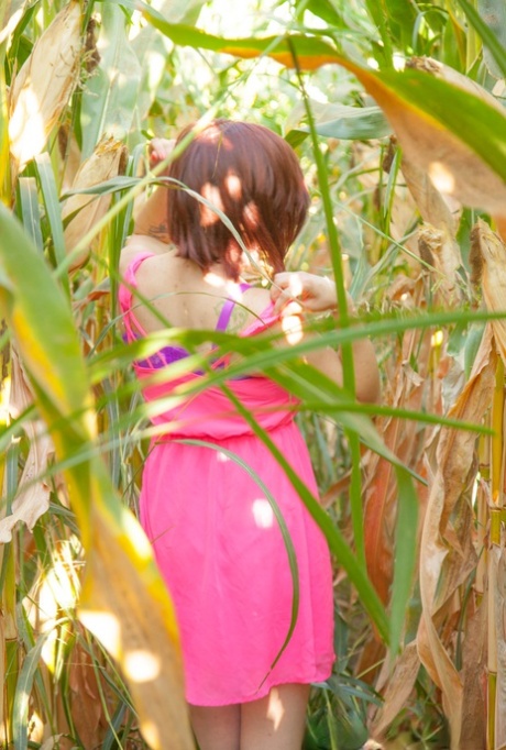 Big Titted Amateur Chelsea Bell Disrobes In A Corn Field To Reveal Huge Melons