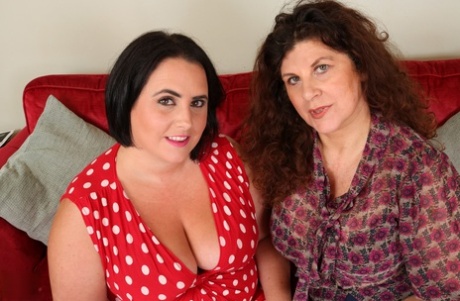 Fat women who are housewives gather for weekly lesbian sex adventures.