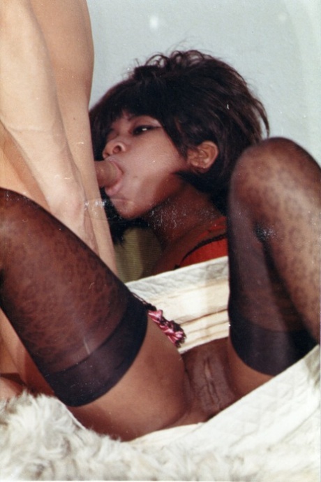 Vintage Ebony Pussy Porn Pics & Naked Photos - PornPics.com
