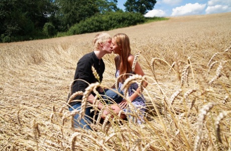 Couple in a field of mature wheat is engaged with sexual activity among young couple.