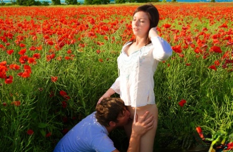 Freshly blooming flowers in the middle of a field lead to sexual intercourse between young couple.