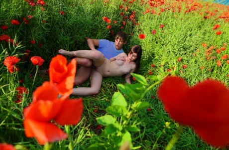 Amidst a field of blooming flowers, young women engage in sexual activities with their partners.