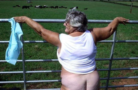Grandma Libby, an aged British woman, seizes herself in the company of a herd of cattle.
