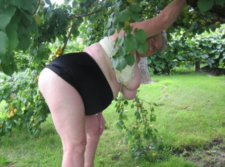 A fruit tree serves as a shield for the fat granny raven goddess, who displays her large tits beneath.