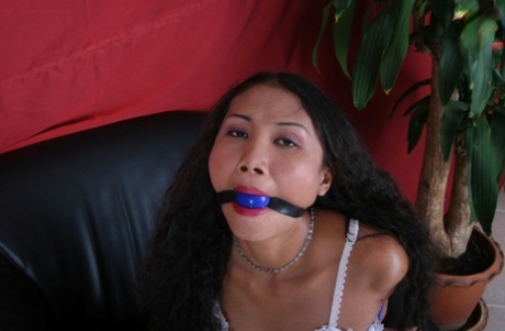 A ball gag involves an Asian girl with her arms and legs tied up.