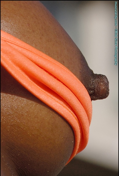 Hard Ebony Nipples - Black Nipples Porn Pics & Naked Photos - PornPics.com