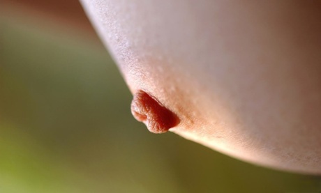 In the middle of a marketplace, Saki Ninomiya exposes her hairy bush.
