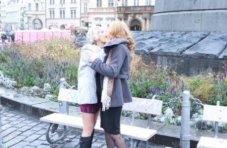 Mature Lesbians Flash Upskirts On Stairs While Walking Out In Public