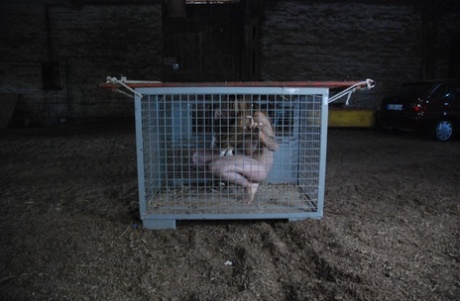 In winter, a fat female slave is strapped tightly to the tree while being transported on a pallet within the premises.