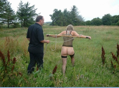 A bottomless blonde is attached to a bar that is connected to an electric fence.