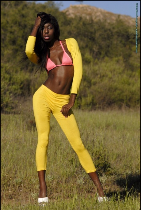Ebony Fitness Model Tera Sims Poses For A Non-nude Shoot In A Field