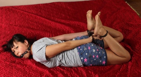 This image shows a girl with dark hair who is being left face down on a bed while being hog-tied and gagged.