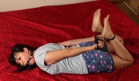 This image shows a girl with dark hair who is being left face down on a bed while being hog-tied and gagged.