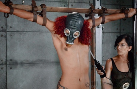 Slave Daisy Ducati gas masked, bound & tortured into squirting in brutal BDSM - PornHugo.net