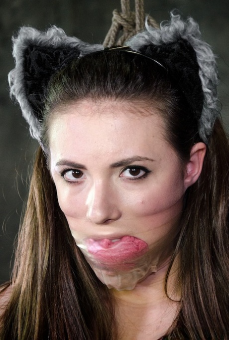 In a dungeon, Casey Calvert is the only girl who wears cat ears and butt plug tails.