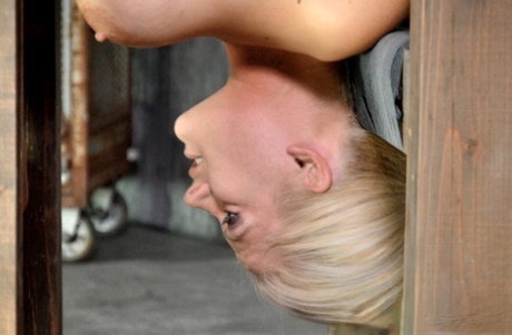 Holly Heart, the attractive young lady, observes as she is slammed from behind in bondage.