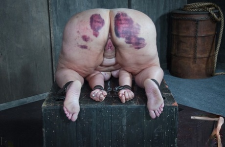 Fat chick undergoes extreme torture session and bruising in a dungeon