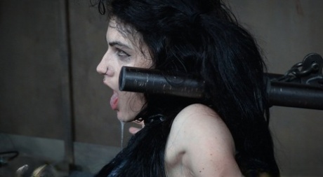 Dark haired chick Lydia Black endures facial abuse while restrained in dungeon