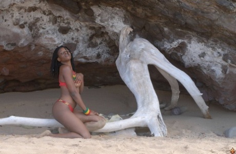 Красивая смешанная девушка играет со старым деревом на карибском пляже
