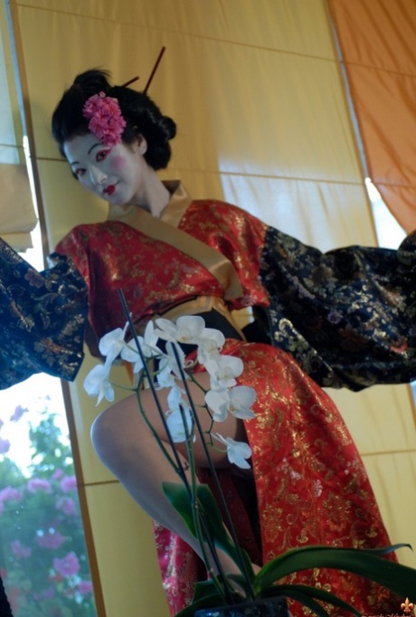 460px x 682px - Geisha Porn Pics & Naked Photos - PornPics.com