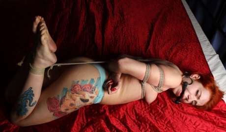 With a horse biting him, a tattooed redhead is restrained on a bed with rope.