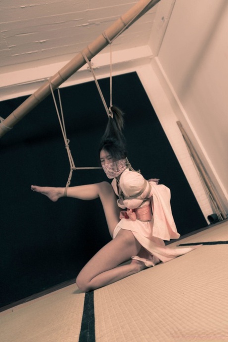 Flawless Meow, an Asian kitten with long hair and legs, is tied up with rope.